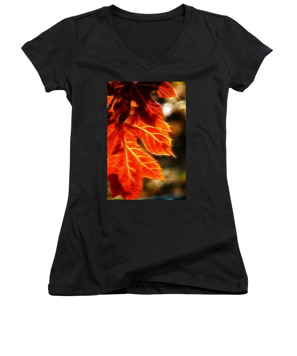 Fall Women's V-Neck featuring the photograph The Warmth of Fall by Lisa Stanley