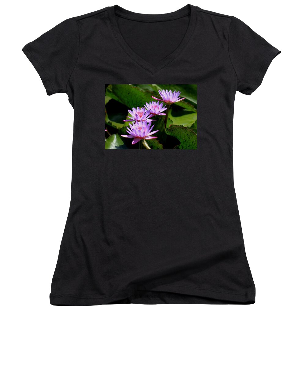 Aquatic Framed Prints Women's V-Neck featuring the photograph Together We Bloom - Violet Lily by Ramabhadran Thirupattur