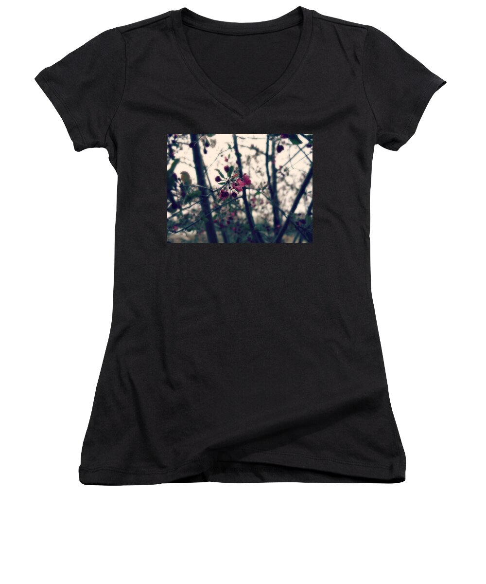 Crab Apple Blossoms Women's V-Neck featuring the photograph Tranquil by Jessica Myscofski