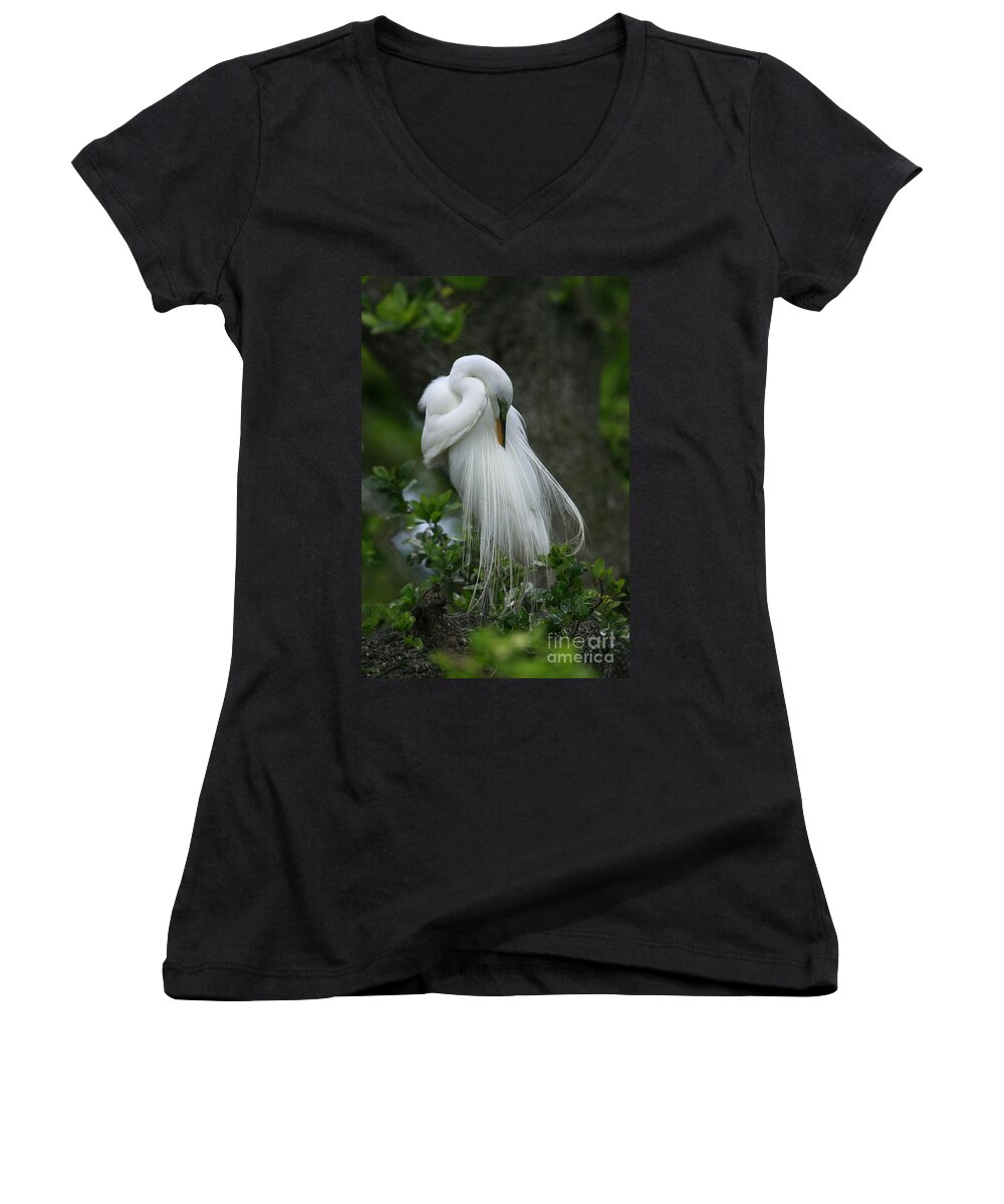 Great Egret Women's V-Neck featuring the photograph Tree of Plumes by John F Tsumas