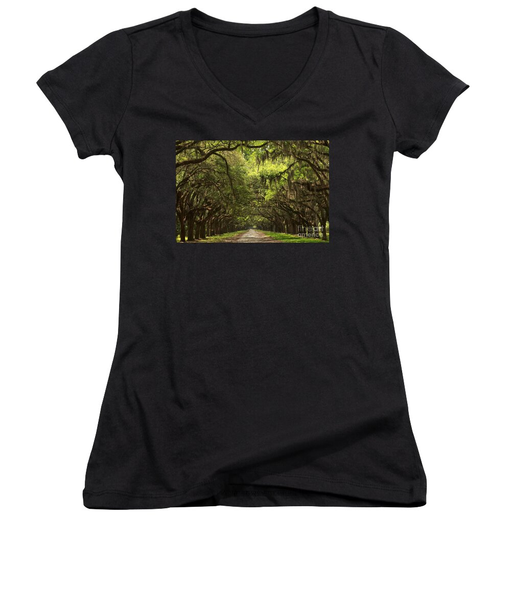 Avenue Of The Oaks Women's V-Neck featuring the photograph Under The Ancient Oaks by Adam Jewell