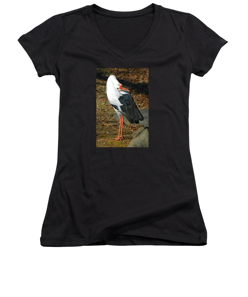 Upside Down View Women's V-Neck featuring the photograph Upside Down View by Emmy Marie Vickers