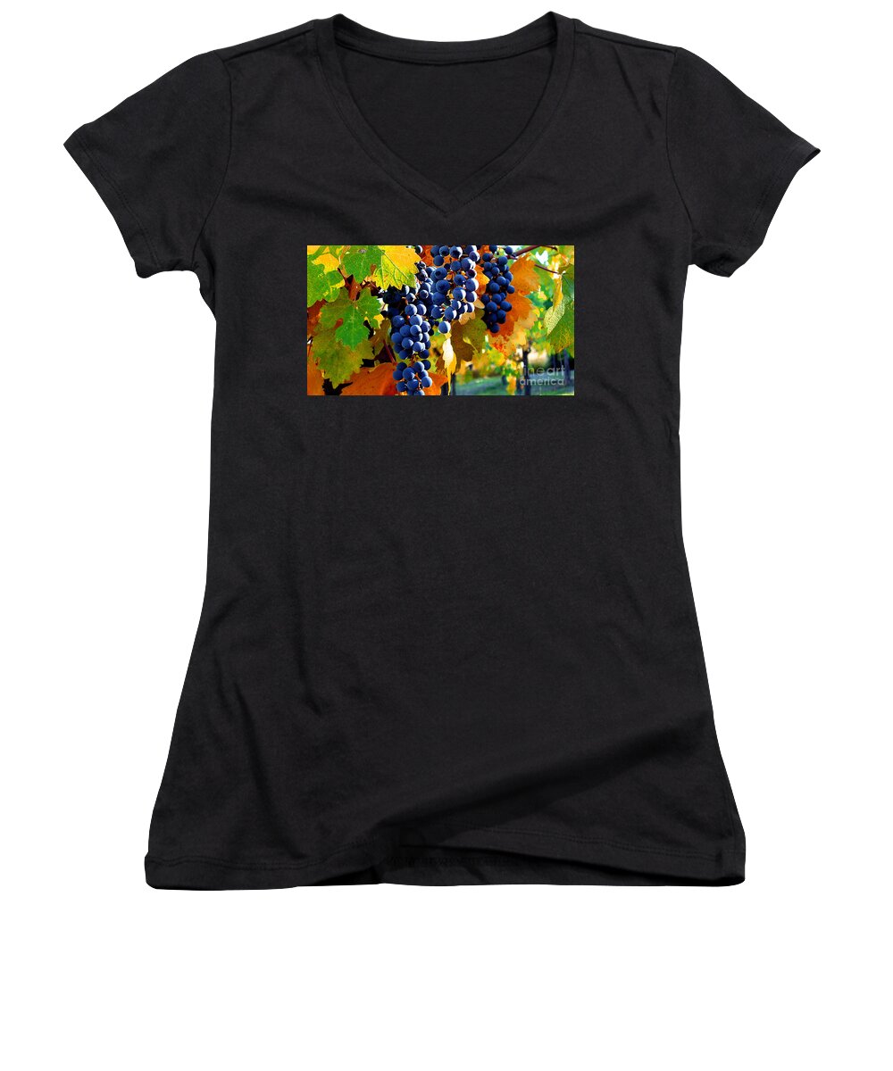 Autumn Women's V-Neck featuring the photograph Vineyard 2 by Xueling Zou