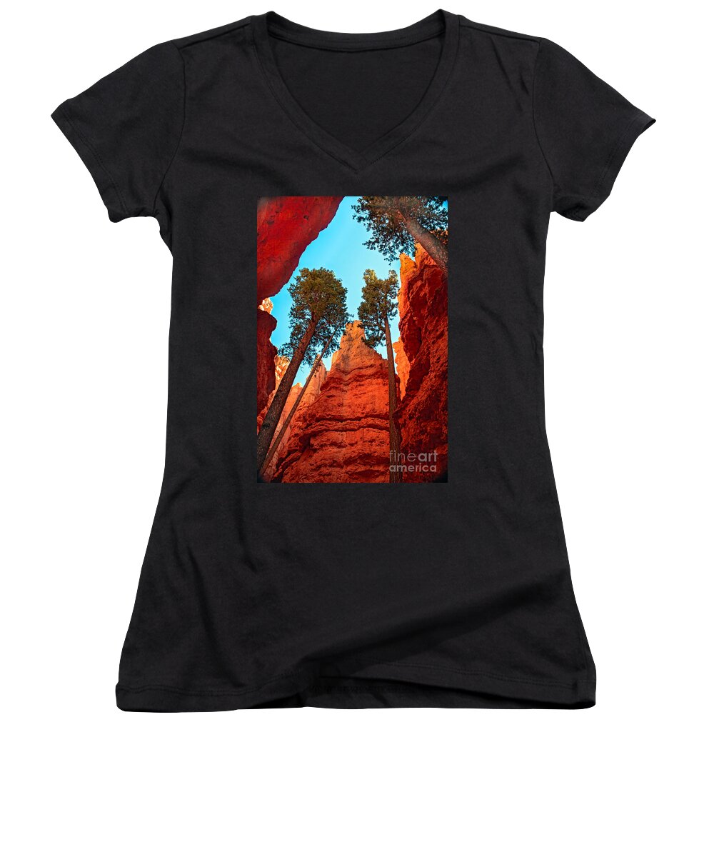  Trees Women's V-Neck featuring the photograph Wall Street by Robert Bales