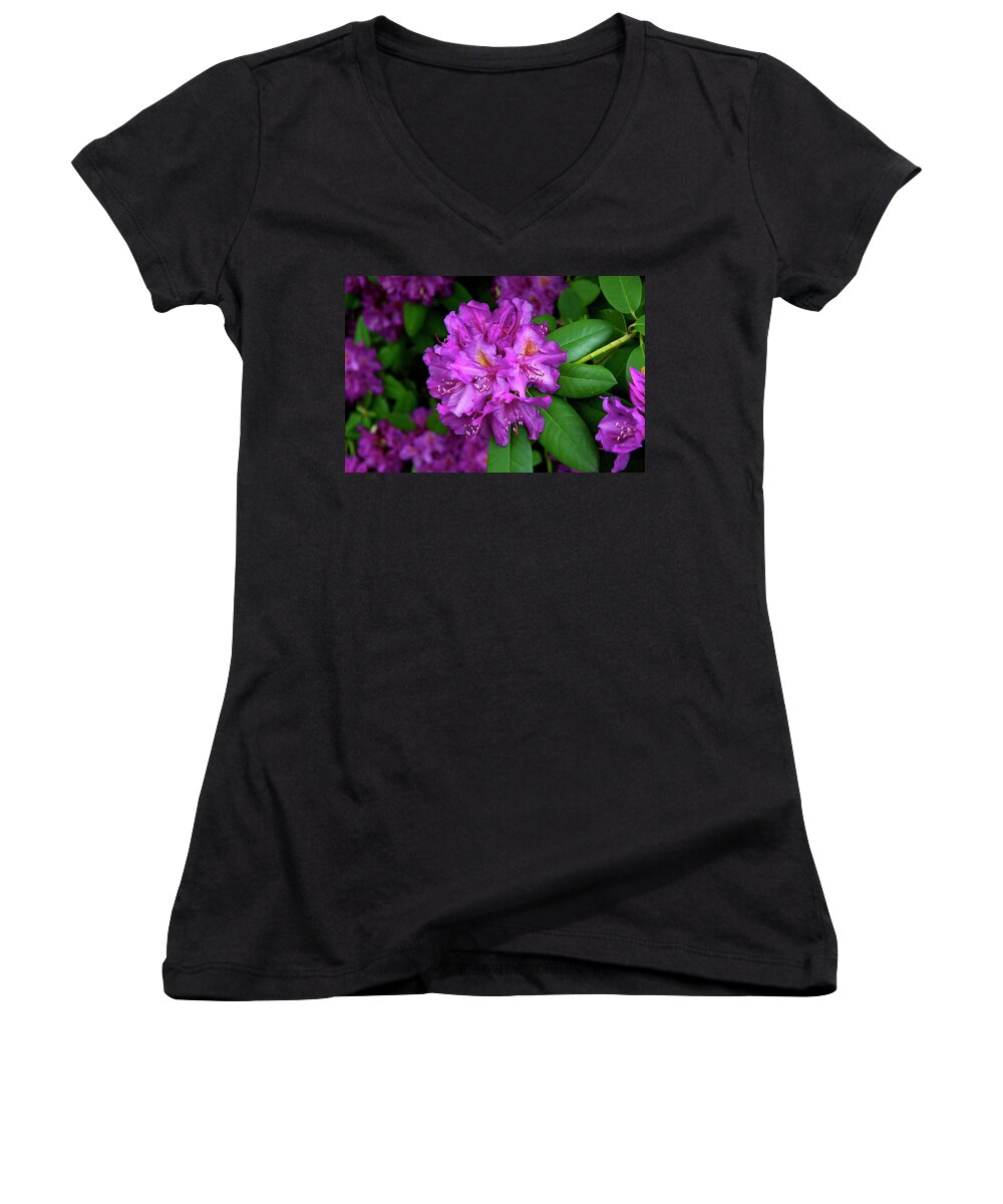 Pacific Northwest Women's V-Neck featuring the photograph Washington Coastal Rhododendron by Ed Riche