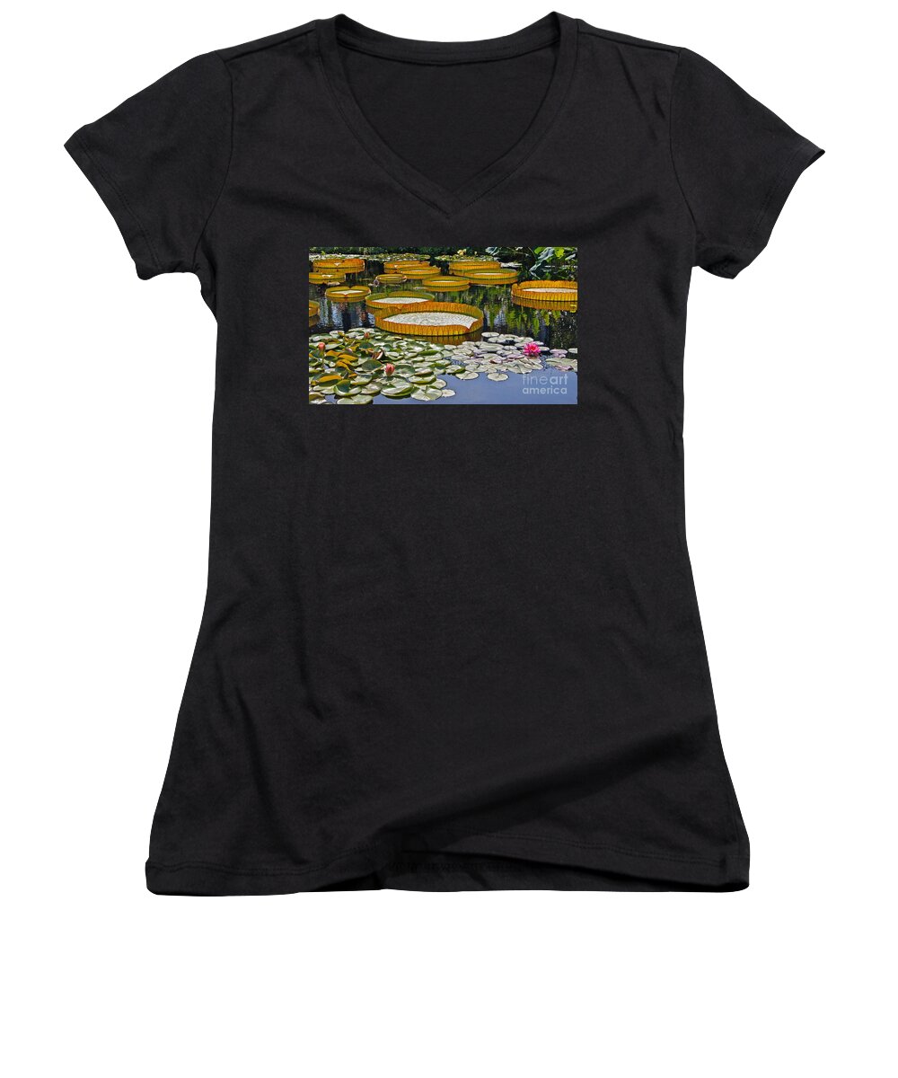 Tropical And Hardy Waterlilies Women's V-Neck featuring the photograph Waterlilies All -- version 2 by Byron Varvarigos