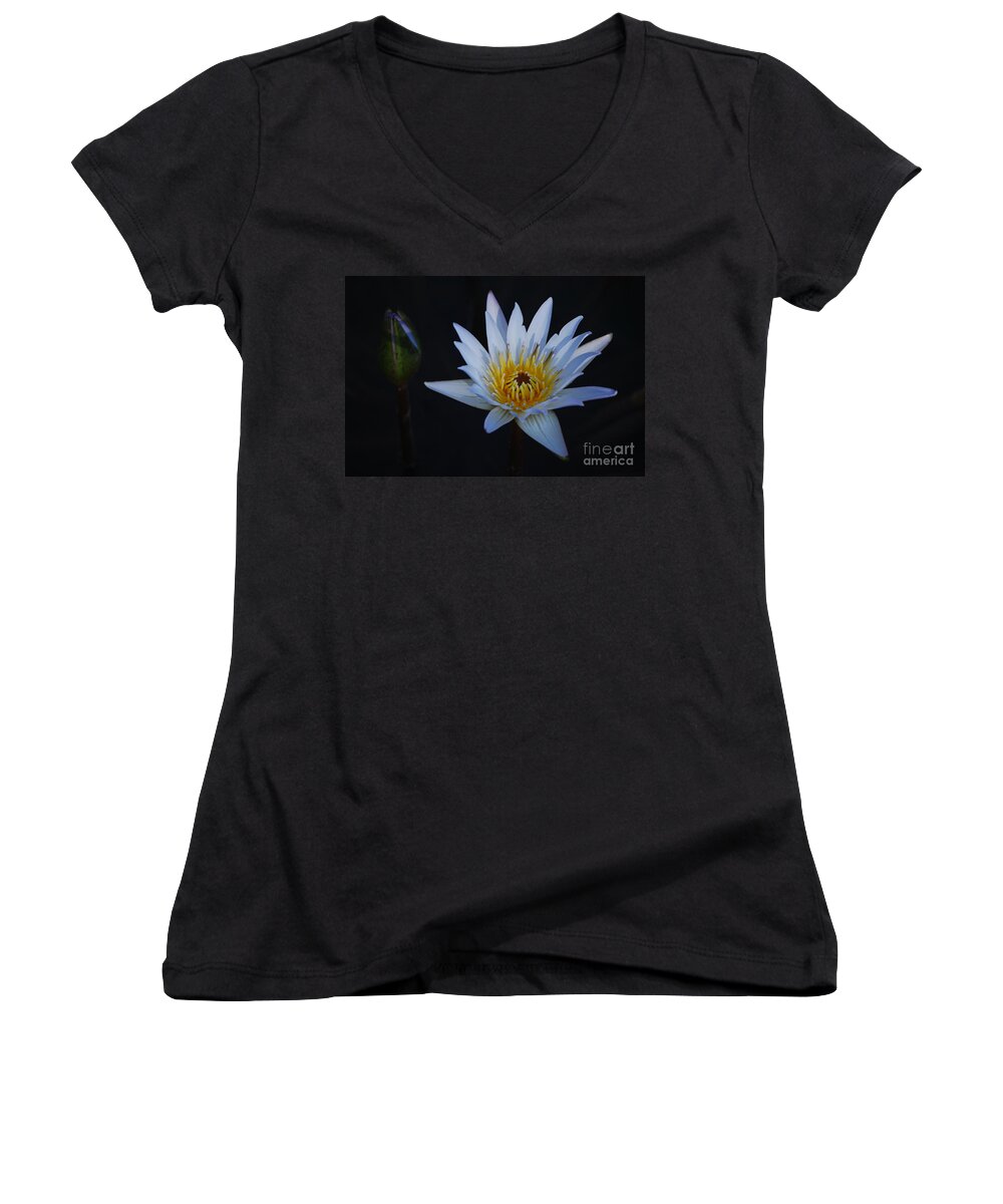 Nymphaea Women's V-Neck featuring the photograph Waterlily Dawn Number One by Heather Kirk