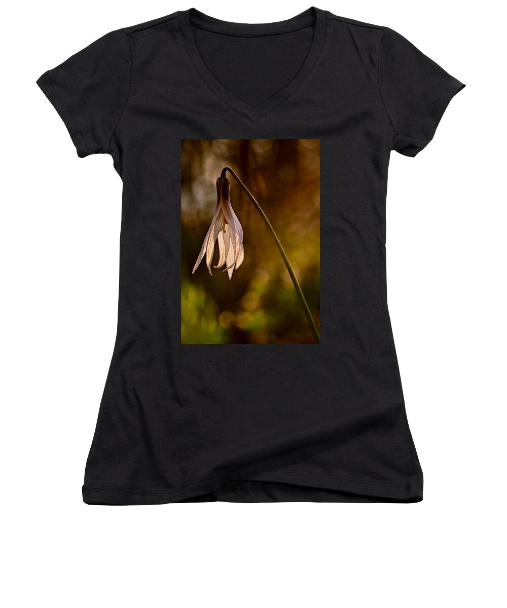 2012 Women's V-Neck featuring the photograph White Dogtooth Violet by Robert Charity