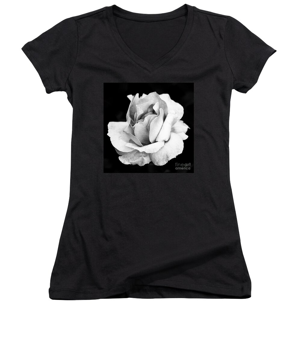 Rose Women's V-Neck featuring the photograph White Rose by Daniel Heine