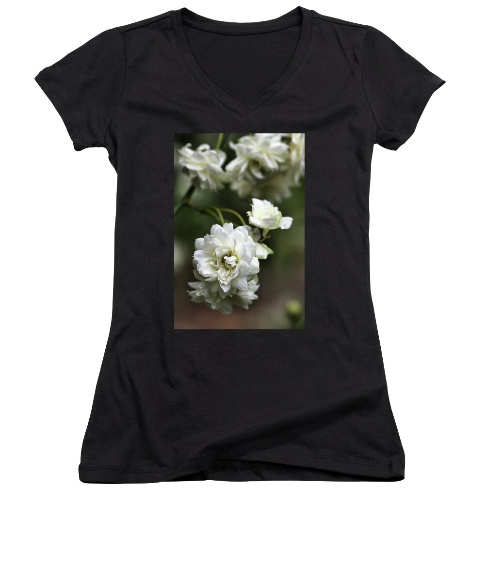 Plant Women's V-Neck featuring the photograph White Roses by Joy Watson