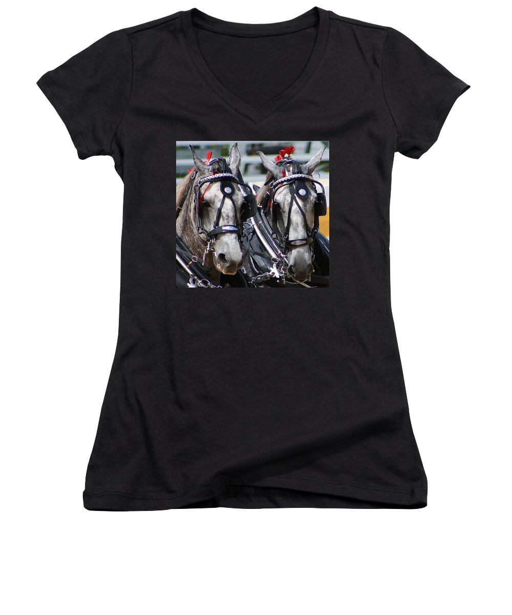 Animal Women's V-Neck featuring the photograph Whoa by Bruce Bley