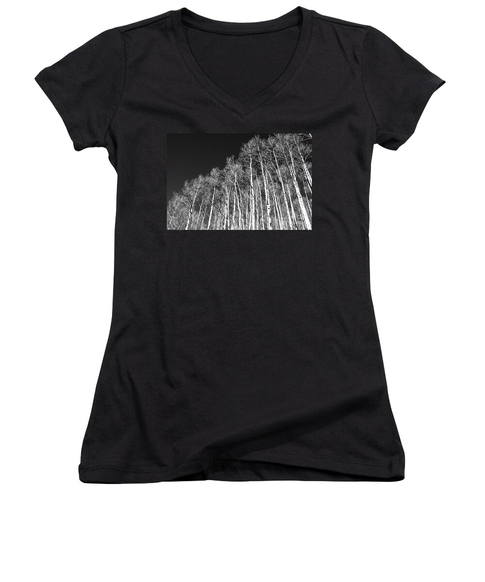 Trees Women's V-Neck featuring the photograph Winter Aspens by Roselynne Broussard