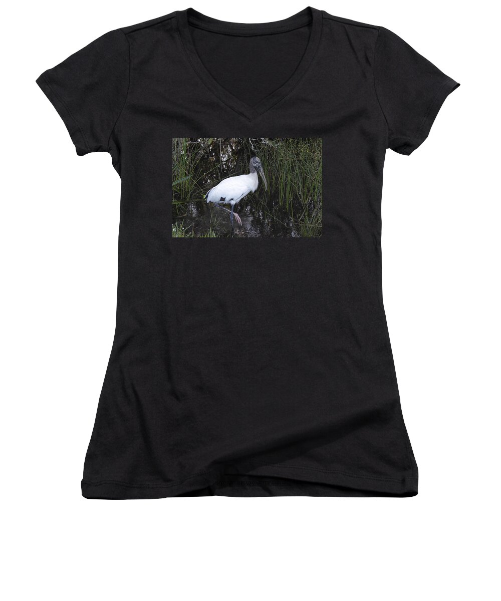 Americana Women's V-Neck featuring the photograph Woodstork by Rudy Umans