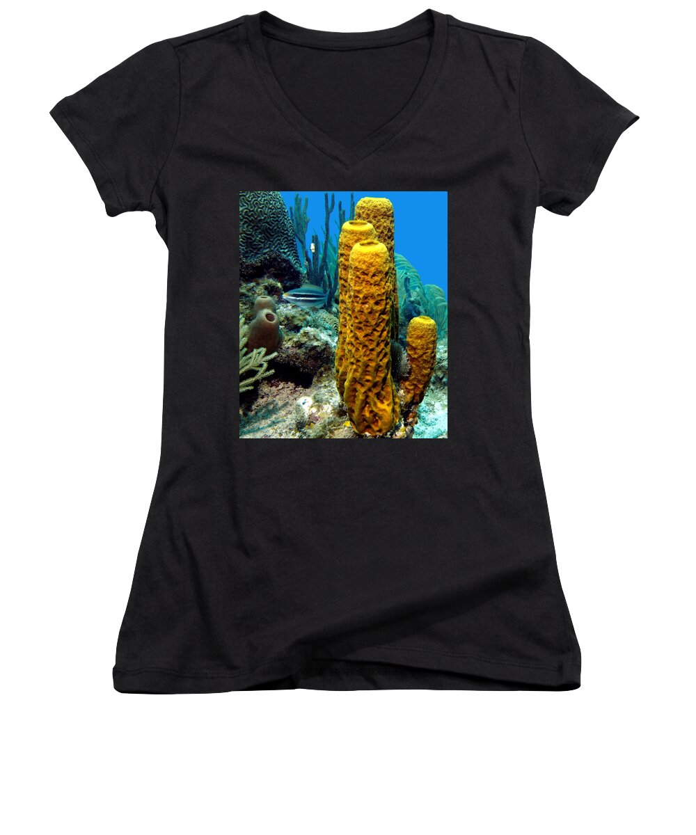 Nature Women's V-Neck featuring the photograph Yellow Tube Sponge by Amy McDaniel