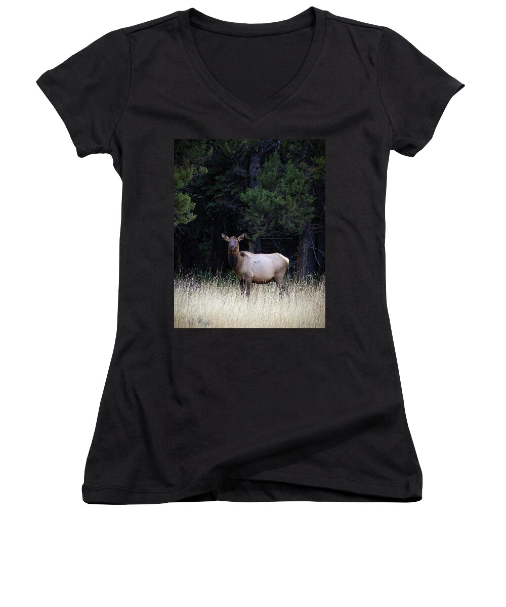 Wolf Women's V-Neck featuring the photograph Forest Elk by Steve McKinzie