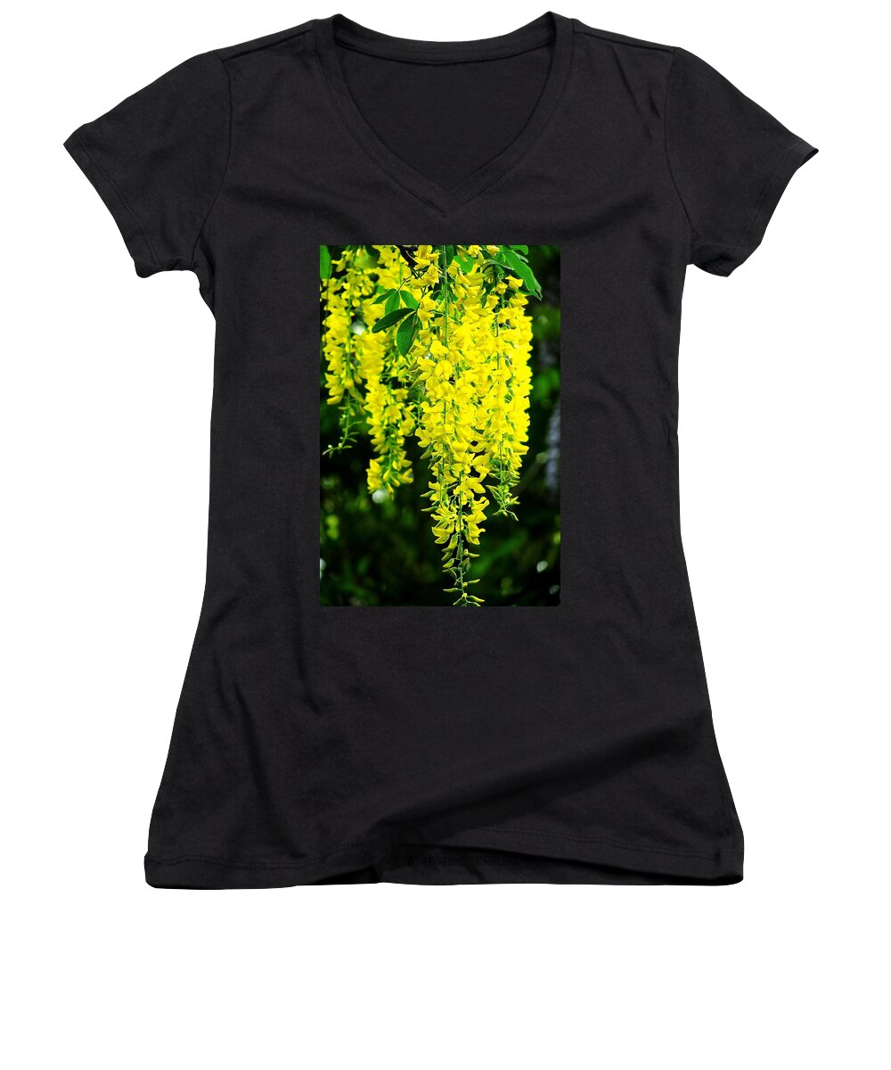Yellow Women's V-Neck featuring the photograph Golden Chain Tree by Jeff Heimlich