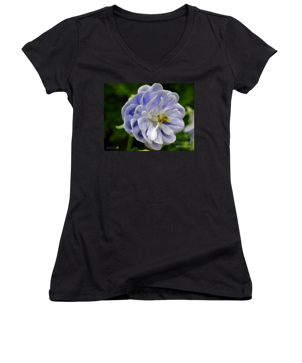 Double Columbine Women's V-Neck featuring the photograph Double Columbine named Light Blue #4 by J McCombie