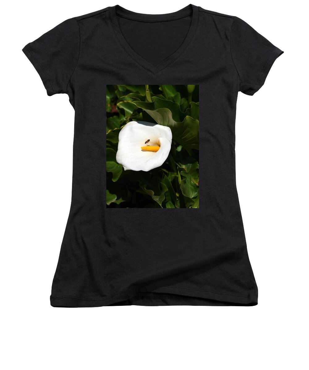 Flower Women's V-Neck featuring the photograph A Bee on a Mission by Teri Schuster