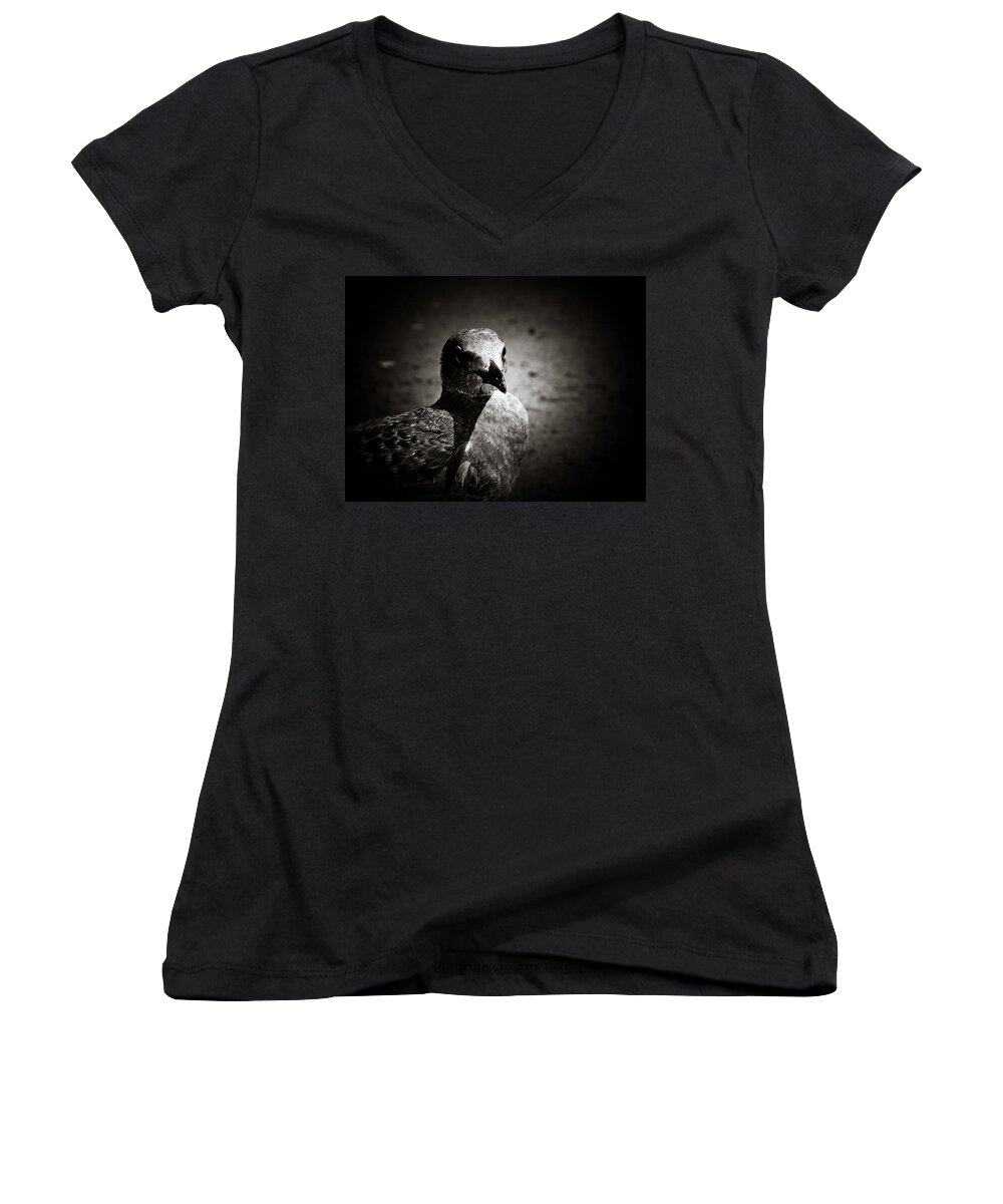 Seagull Women's V-Neck featuring the photograph Bird's Eye View by Jessica Brawley