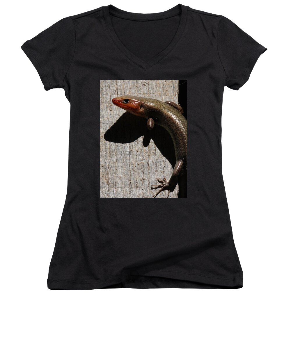 Broad-headed Skink Women's V-Neck featuring the photograph Broad-headed Skink On Barn by Daniel Reed