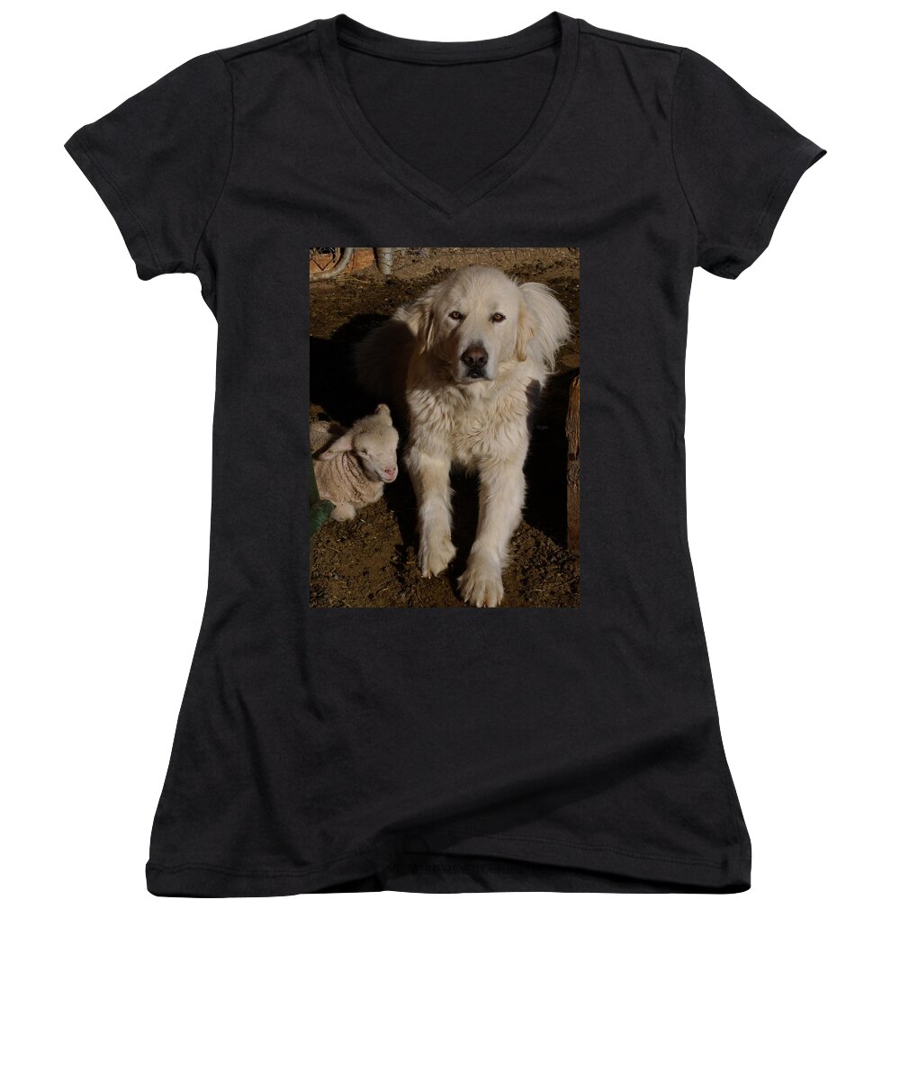 Great Pyrenees Women's V-Neck featuring the photograph Close Personal Protection by Charles and Melisa Morrison