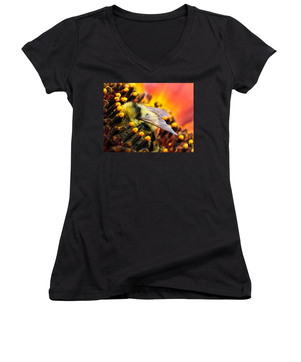 Bee Women's V-Neck featuring the photograph Collecting Pollen by Vivian Christopher