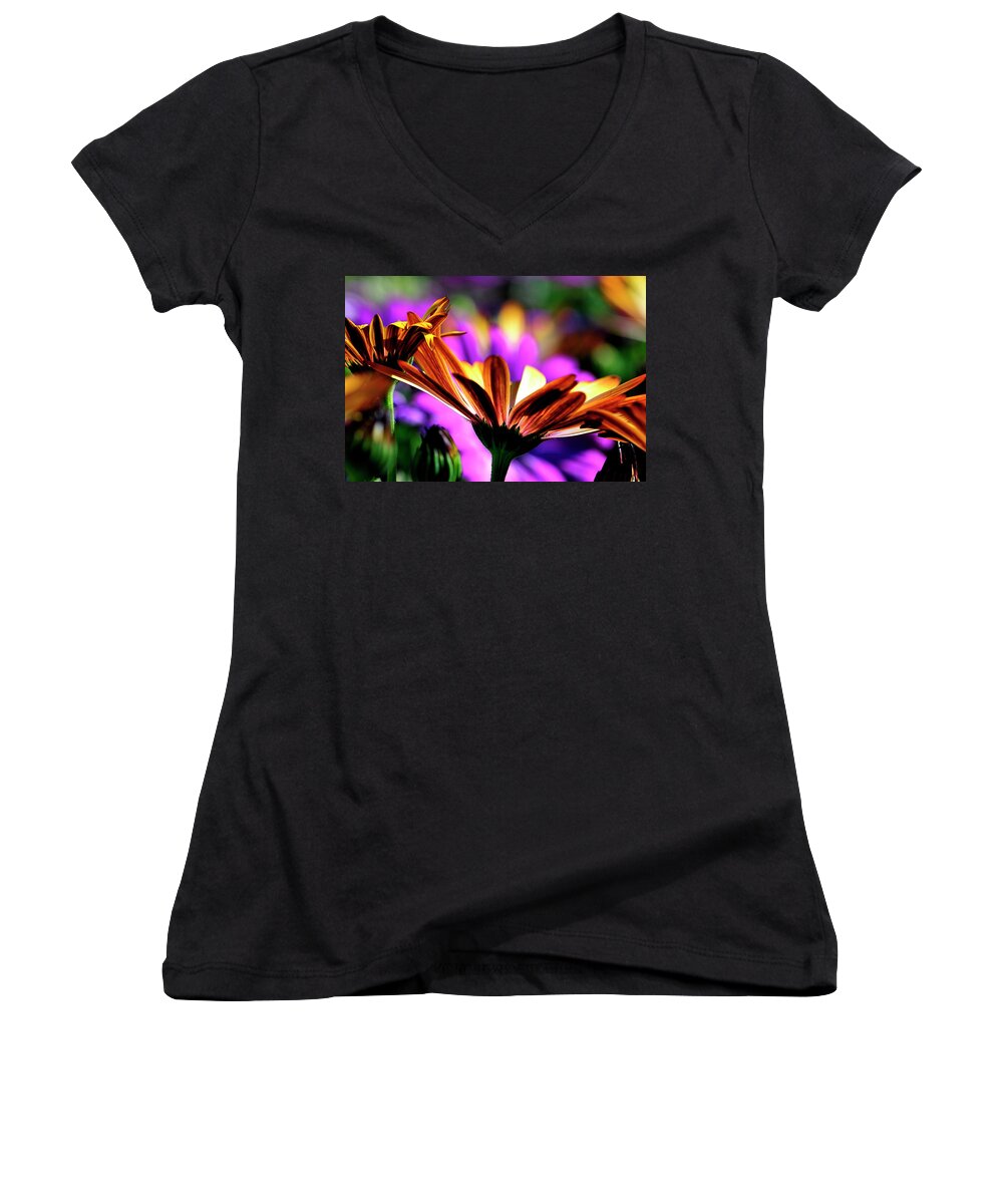Flowers Women's V-Neck featuring the photograph Color and light by Bill Dodsworth