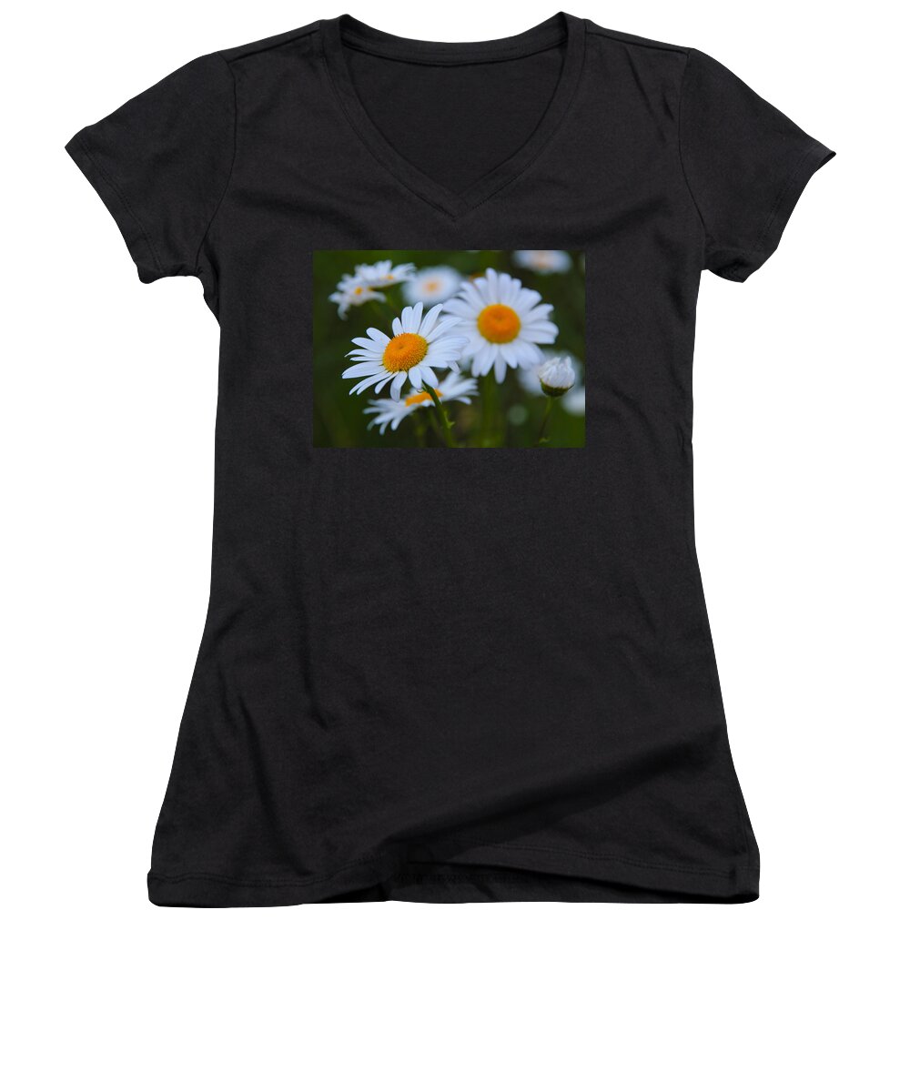 Daisies Women's V-Neck featuring the photograph Daisy by Athena Mckinzie