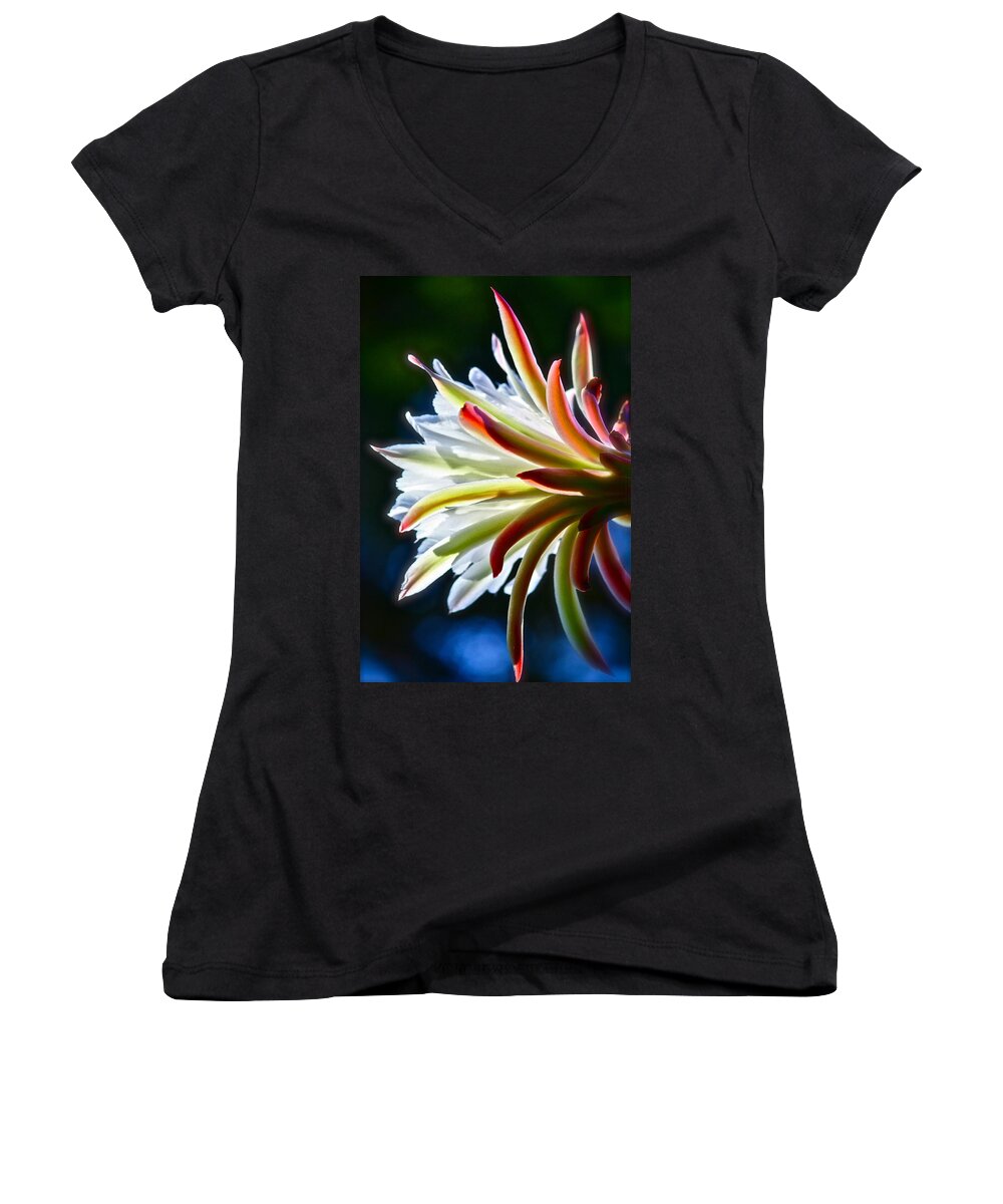 Cactus Women's V-Neck featuring the photograph Doris' Cactus Three by Diana Hatcher