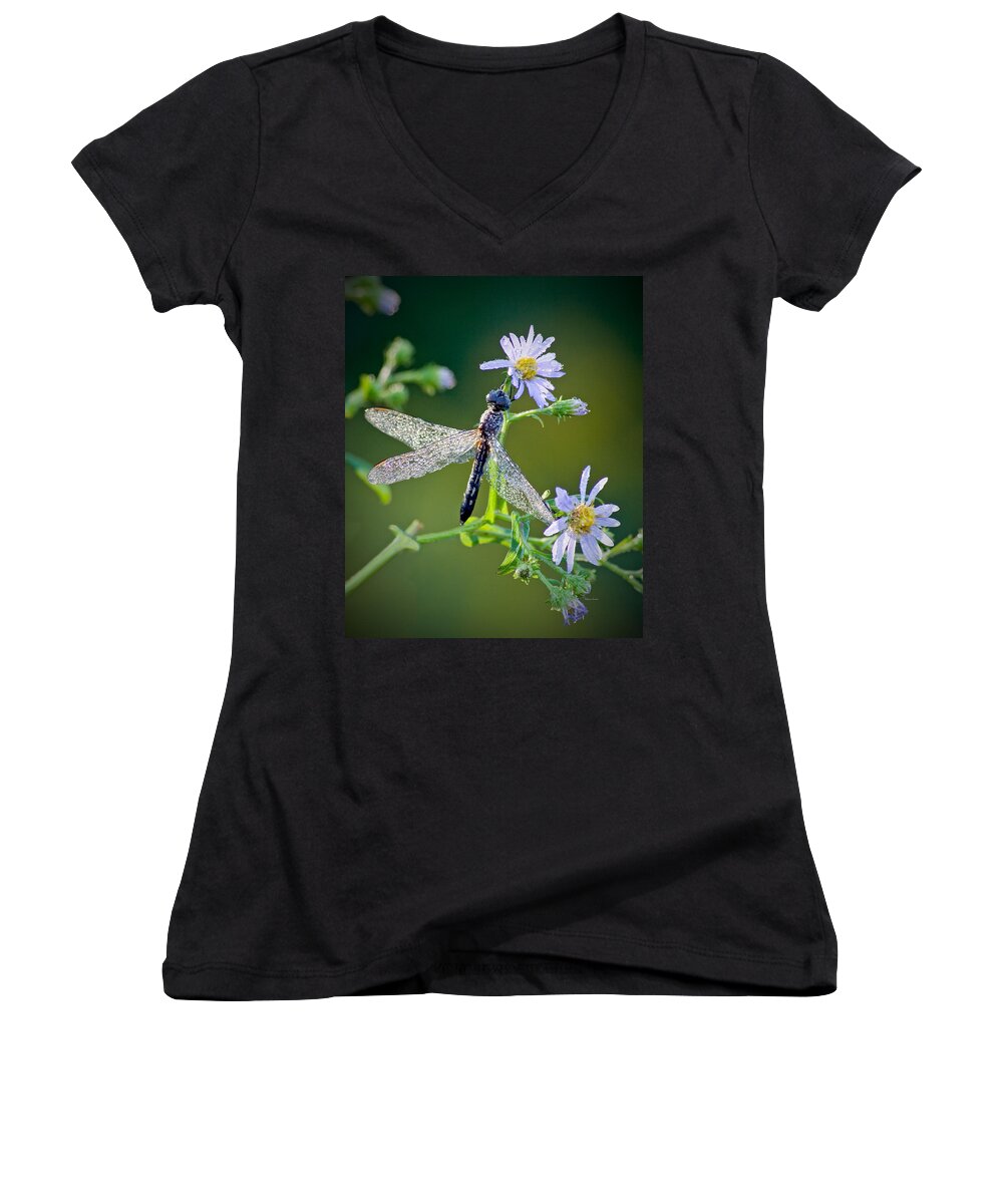 Dragonfly Women's V-Neck featuring the photograph Dragonfly by Rebecca Samler