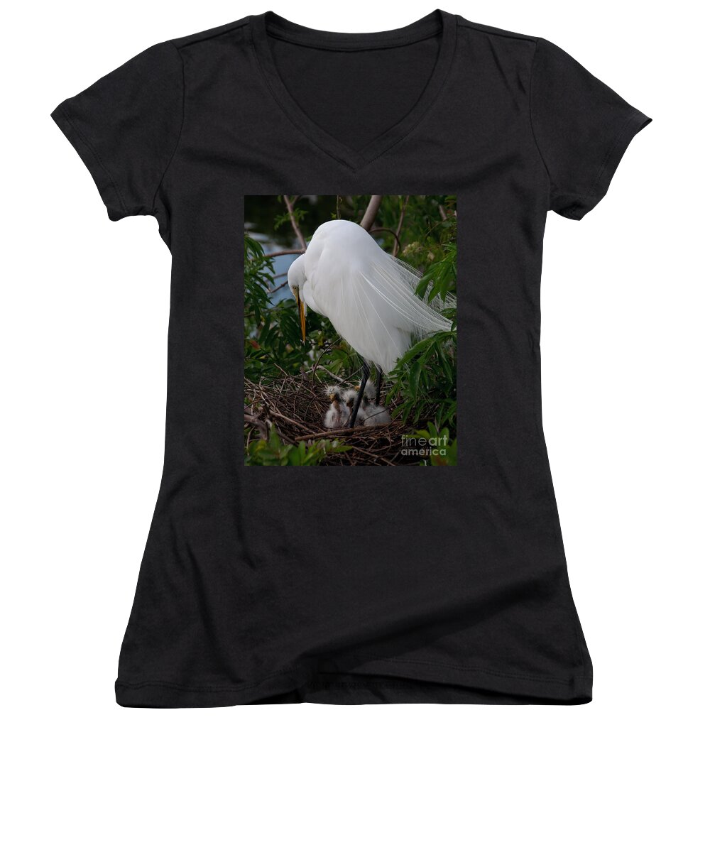 Egret Women's V-Neck featuring the photograph Egret with Chicks by Art Whitton