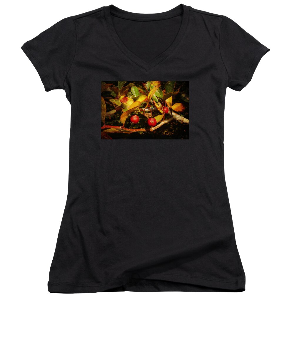 Brown Women's V-Neck featuring the photograph Fall Colors by Milena Ilieva