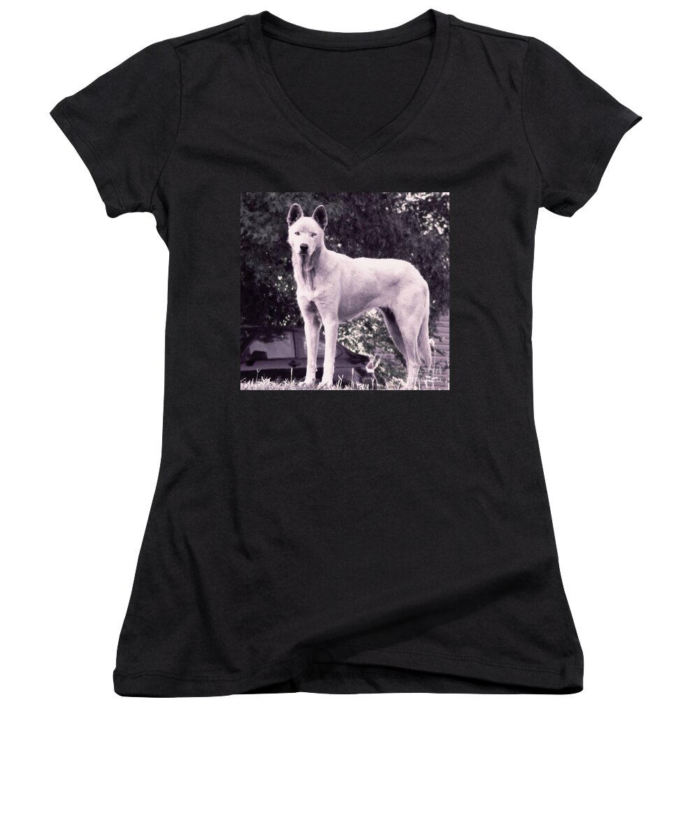 Wolf Women's V-Neck featuring the photograph Ghost the Wolf by Maria Urso