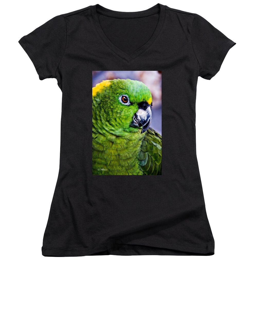 Parrot Women's V-Neck featuring the photograph Green Parrot by Christopher Holmes