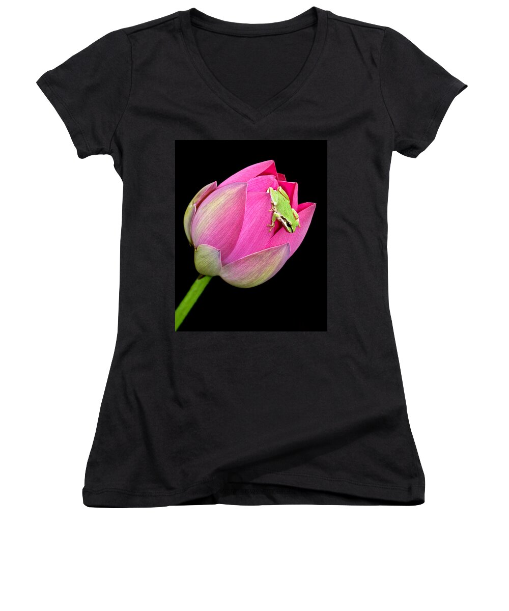 Amphibians Women's V-Neck featuring the photograph Hitchhiker by Jean Noren