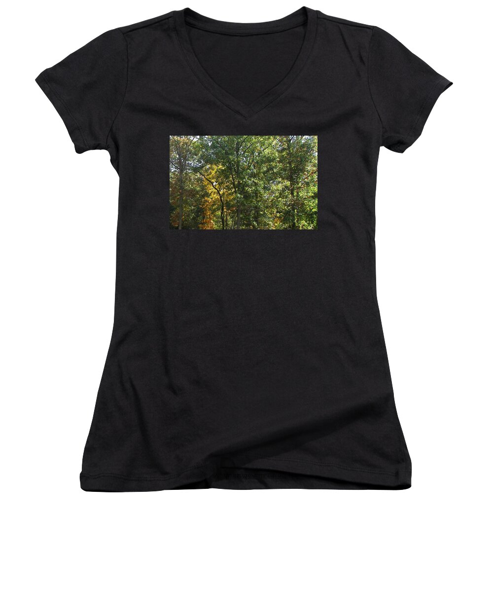 Nature Women's V-Neck featuring the photograph Image of Fall by Pamela Hyde Wilson