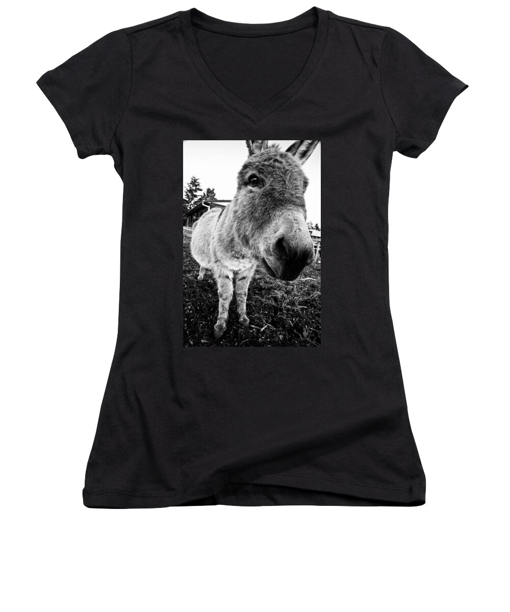 Donkey Women's V-Neck featuring the photograph In Your Face by Monte Arnold