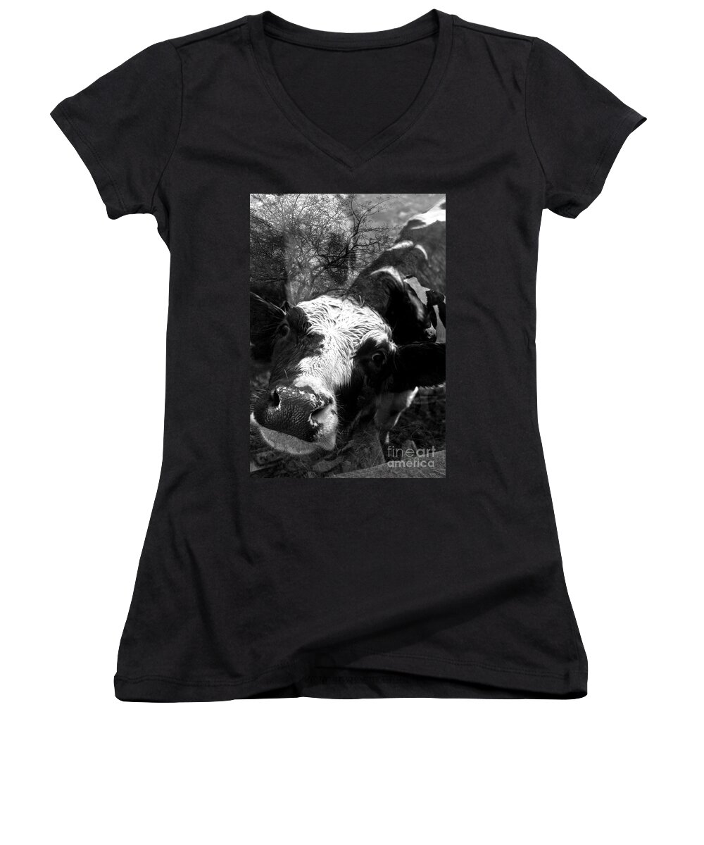 Agriculture Greeting Cards Women's V-Neck featuring the photograph Inquisitive Zoey with EllaMay by Danielle Summa