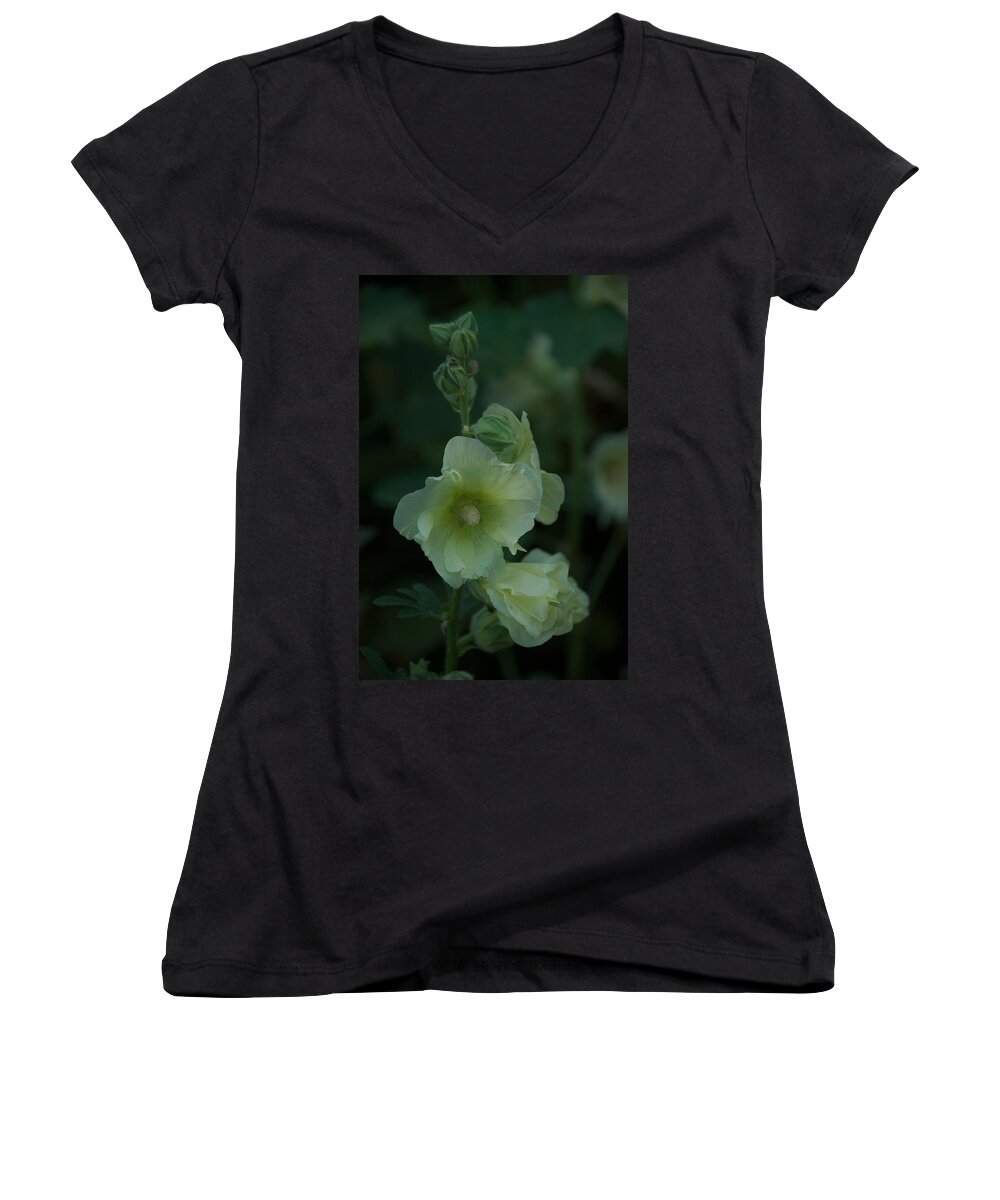 Flower Women's V-Neck featuring the photograph Lime by Joseph Yarbrough