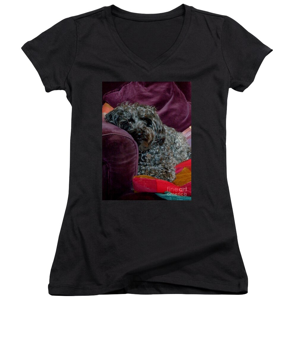 Dog Women's V-Neck featuring the photograph Millie by Lainie Wrightson