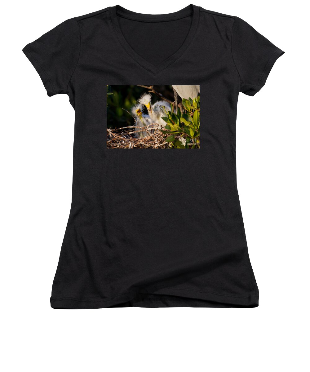 Birds Women's V-Neck featuring the photograph Mom He Stepped On Me by Sue Karski