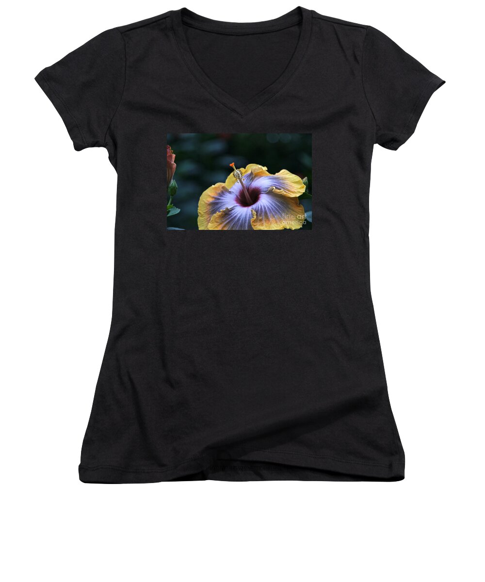 Hibiscus Women's V-Neck featuring the photograph Multicolor Hibiscus Flower by Byron Varvarigos