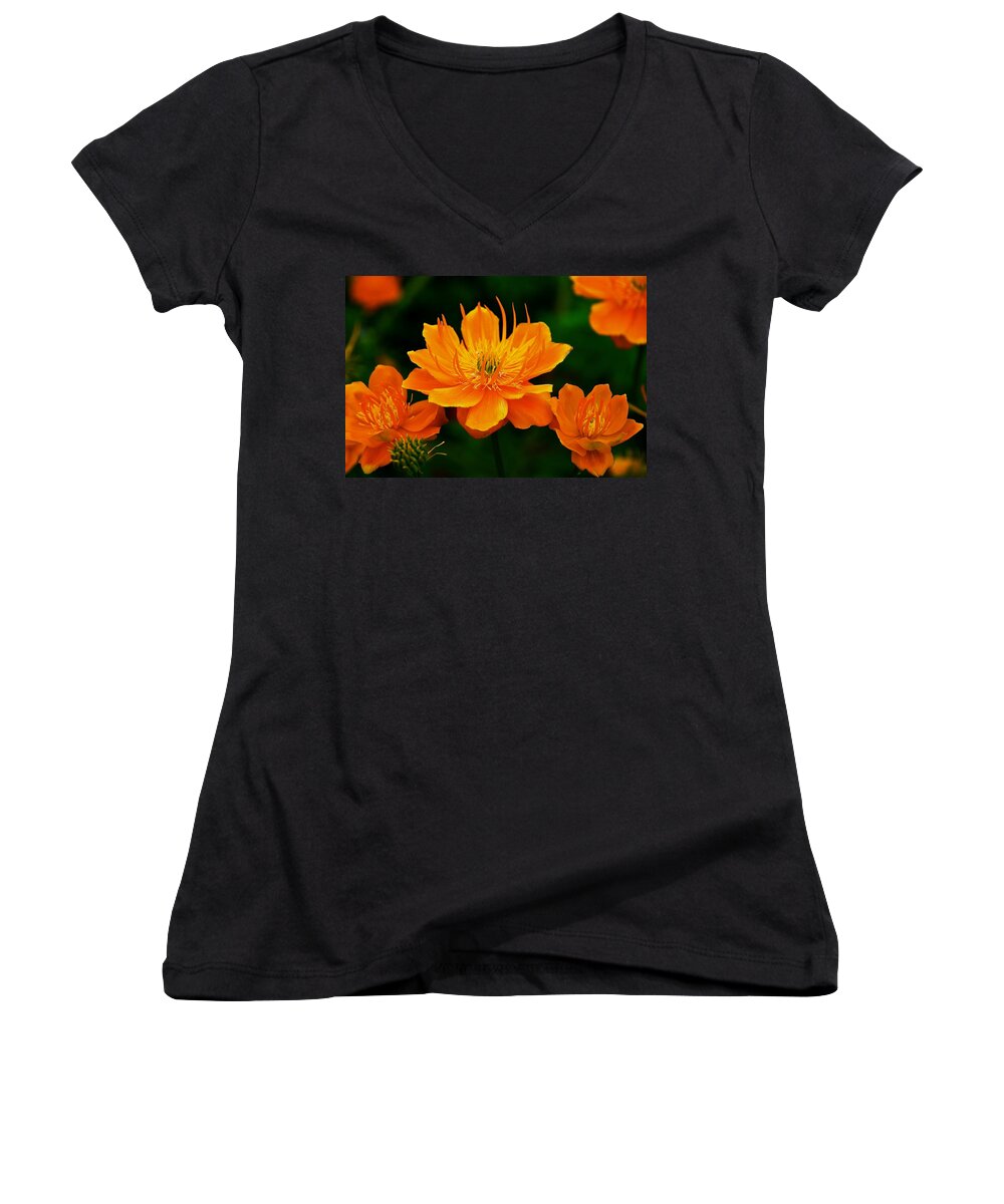 Flowers Women's V-Neck featuring the photograph Orange and Yellow by Eric Tressler