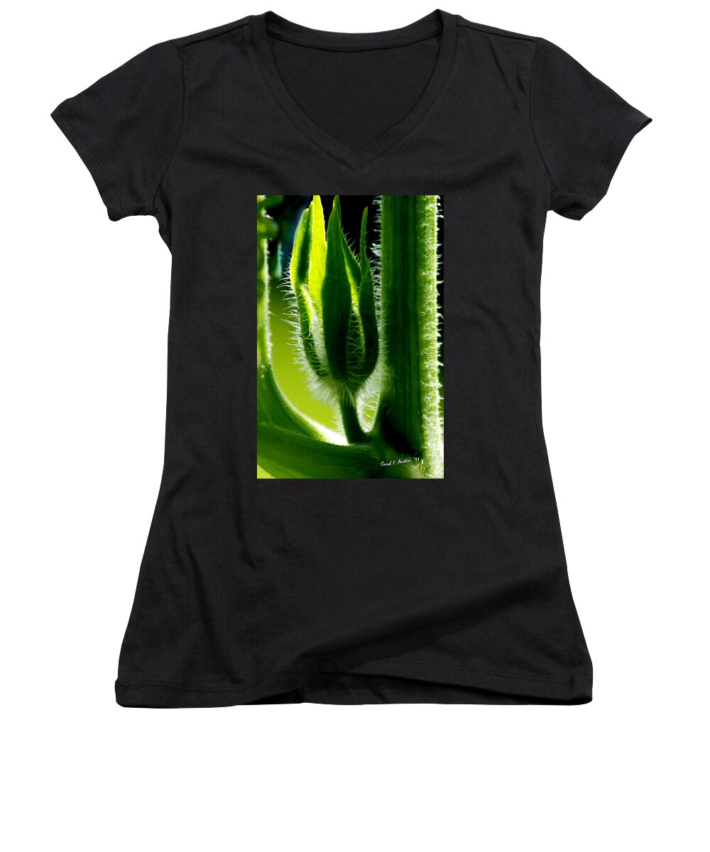 Bokeh Women's V-Neck featuring the photograph Prickly Affairs by Carol F Austin
