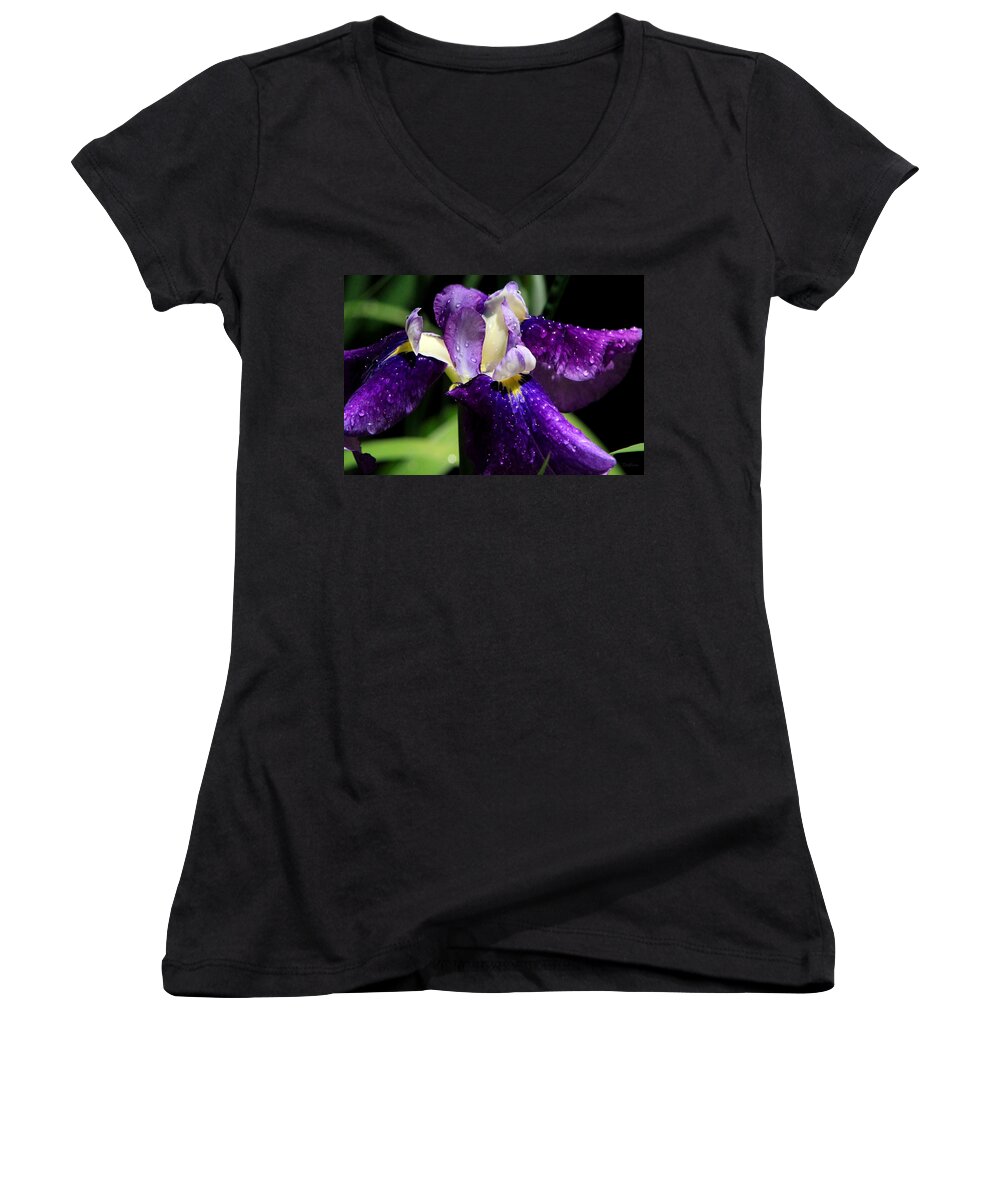 Iris Women's V-Neck featuring the photograph Refreshed by Deborah Crew-Johnson