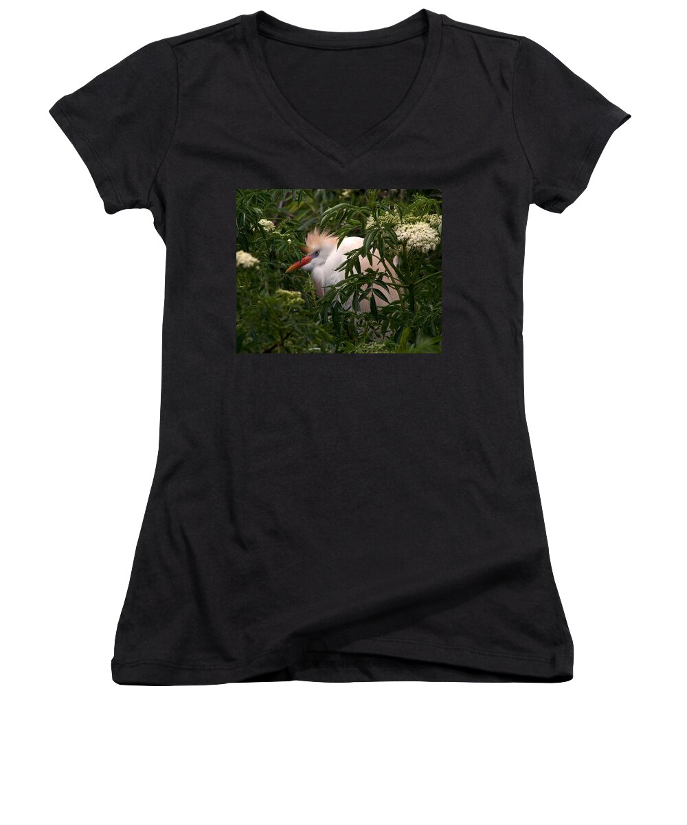 Nature Women's V-Neck featuring the photograph Sleepy Egret in Elderberry by Peggy Urban