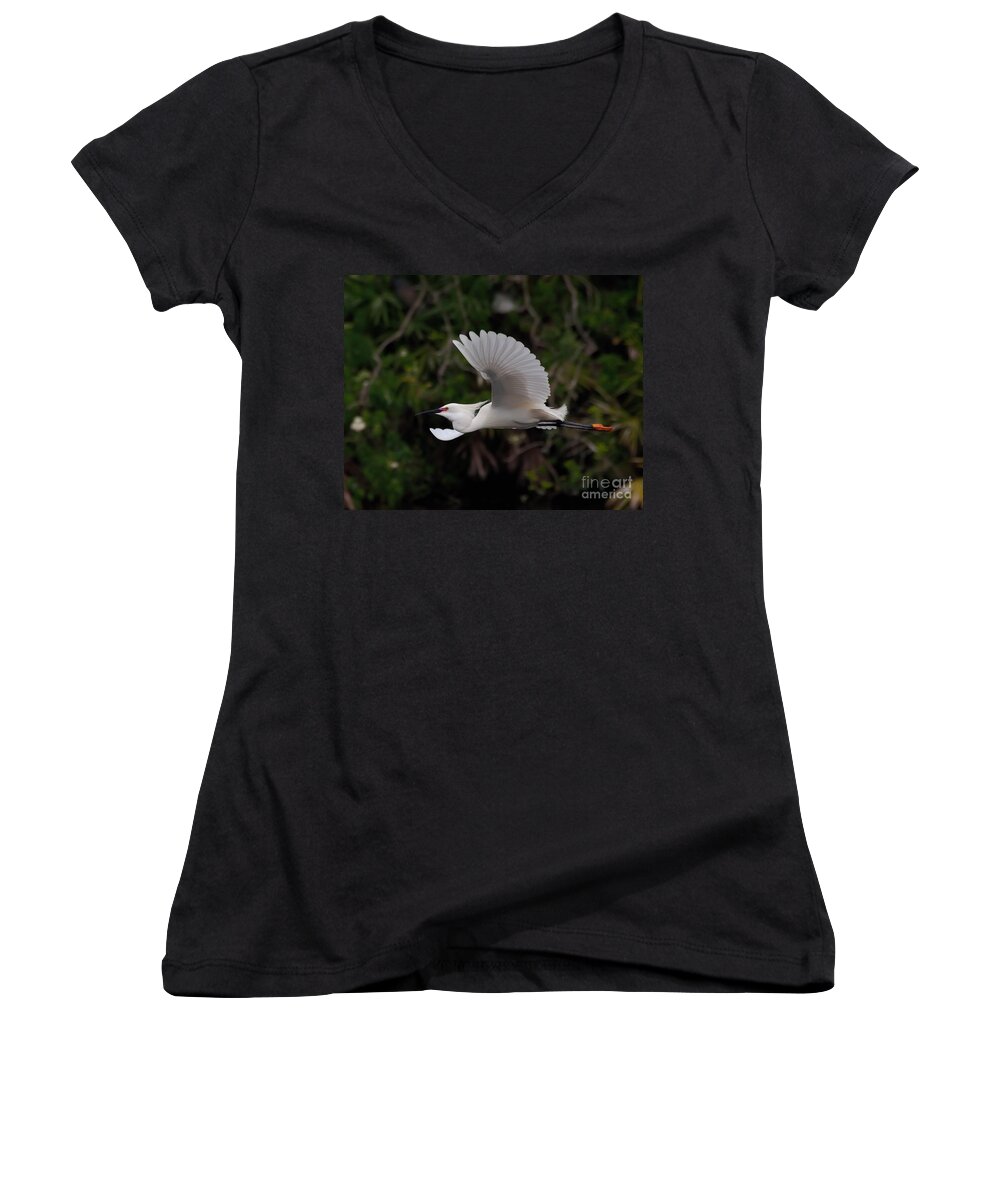 Egret Women's V-Neck featuring the photograph Snowy Egret in Flight by Art Whitton