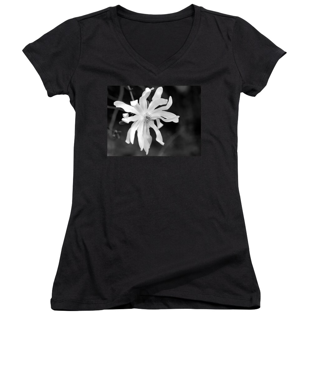Star Magnolia Women's V-Neck featuring the photograph Star Magnolia by Lisa Phillips