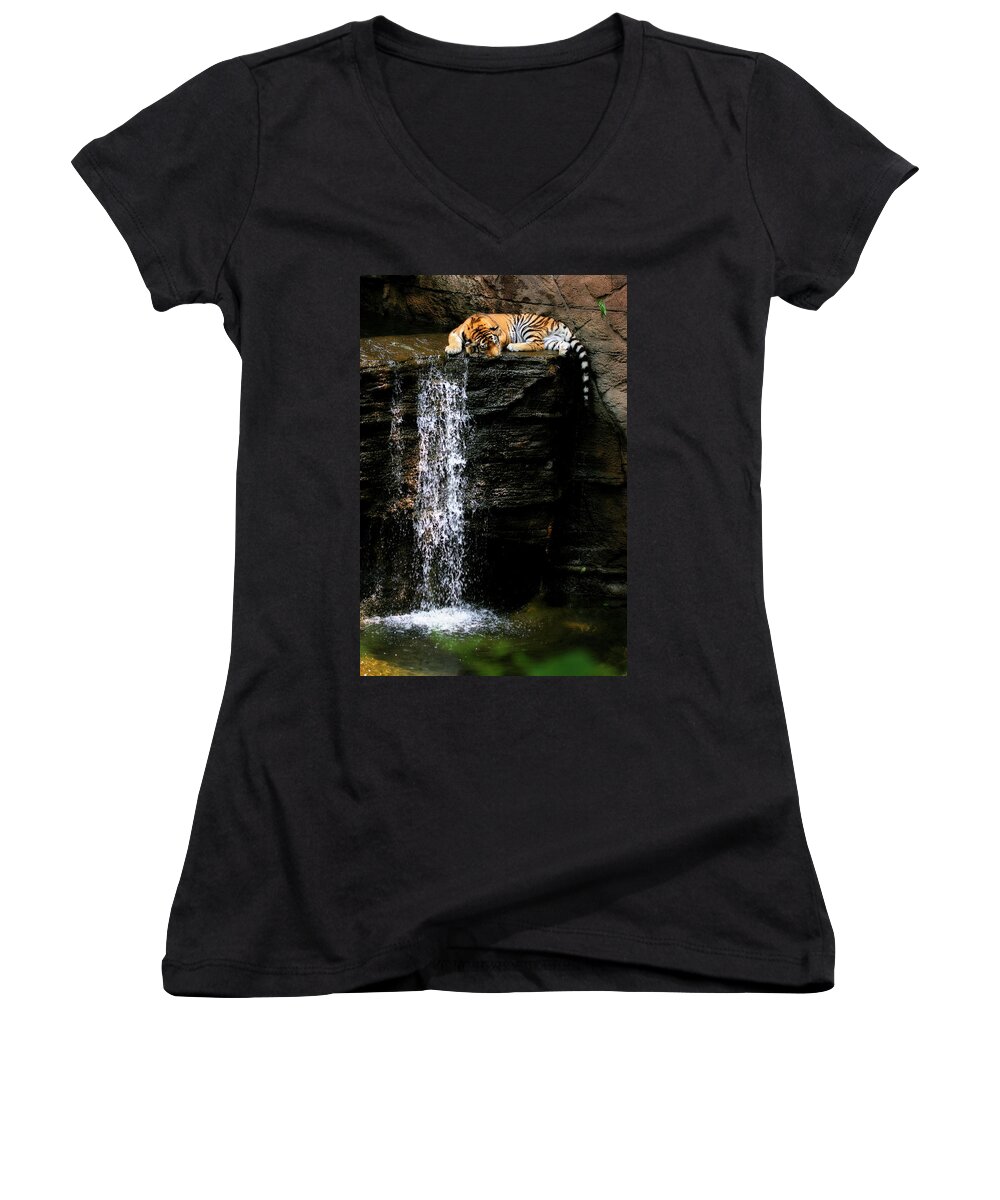 Amur Tiger Women's V-Neck featuring the photograph Strength at Rest by Angela Rath
