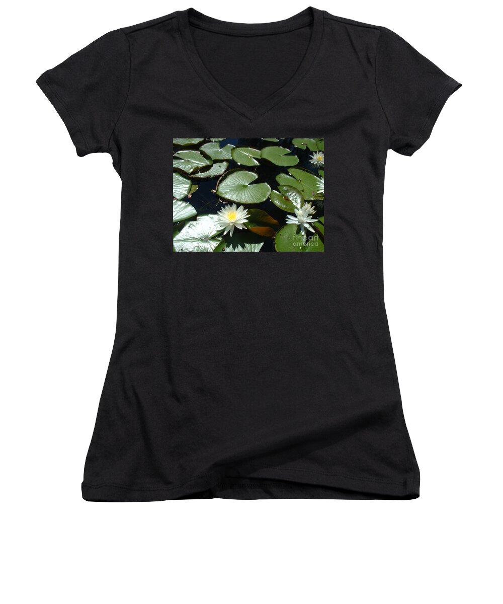 Lilly Pad Women's V-Neck featuring the photograph Sun Lovers by Mark Robbins